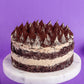 Tiramisu Cake (500gm)