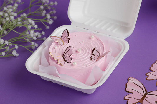 Chocolate Belgium Butterfly Themed Bento Cake