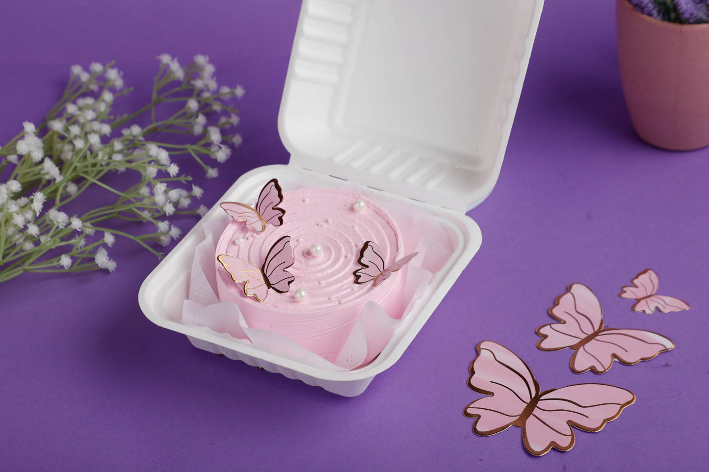 Chocolate Belgium Butterfly Themed Bento Cake