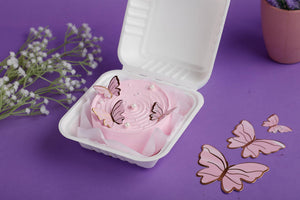 Chocolate Belgium Butterfly Themed Bento Cake